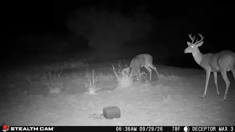 30389 E County Road 1360 Rd, Willow, OK 73673 photo 17