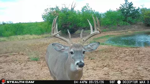 30389 E County Road 1360 Rd, Willow, OK 73673 photo 10