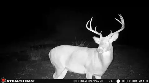 30389 E County Road 1360 Rd, Willow, OK 73673 photo 16