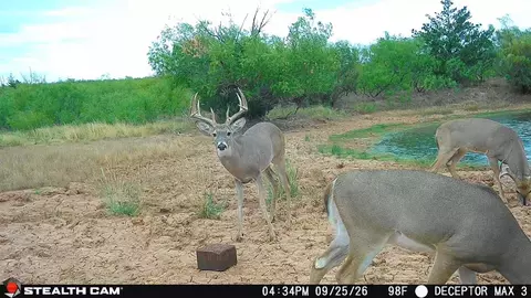 30389 E County Road 1360 Rd, Willow, OK 73673 photo 12