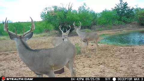 30389 E County Road 1360 Rd, Willow, OK 73673 photo 11