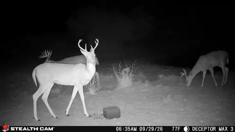 30389 E County Road 1360 Rd, Willow, OK 73673 photo 3
