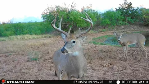 30389 E County Road 1360 Rd, Willow, OK 73673