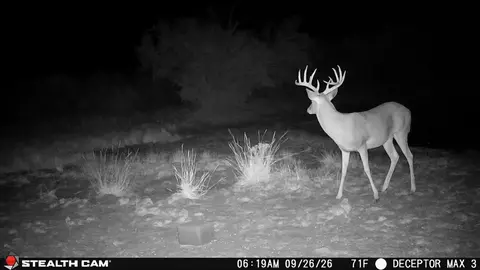 30389 E County Road 1360 Rd, Willow, OK 73673 photo 2