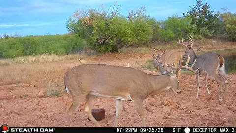 30389 E County Road 1360 Rd, Willow, OK 73673 photo 5