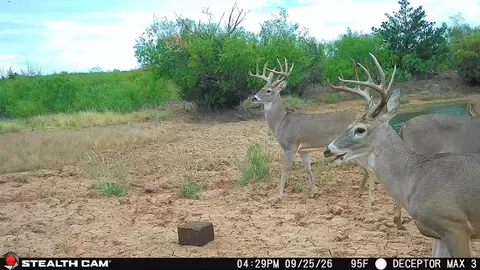 30389 E County Road 1360 Rd, Willow, OK 73673 photo 13