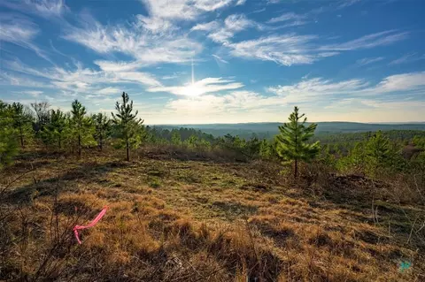 48 Rose Tree Trl, Broken Bow, OK 74728 photo 8