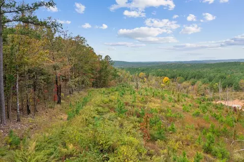 48 Rose Tree Trl, Broken Bow, OK 74728 photo 2