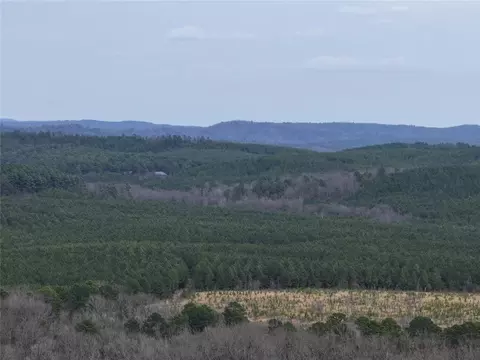 50 Canvasback Trl, Battiest, OK 74728