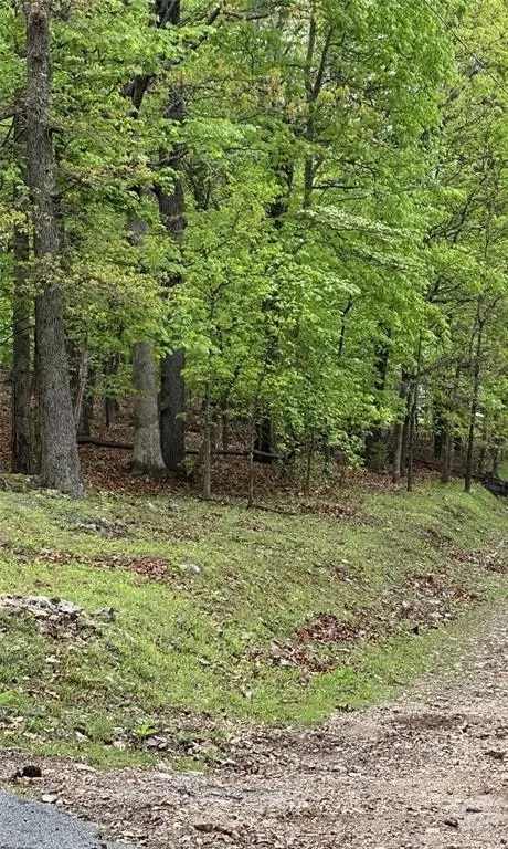 Konowa Drive, Eucha, OK 74342 photo 3