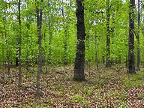 Konowa Drive, Eucha, OK 74342 photo 5