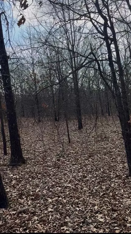 Brandy Lane, Tecumseh, OK 74873