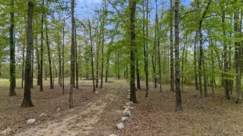 341 White Fox Ln, Broken Bow, OK 74728 photo 3