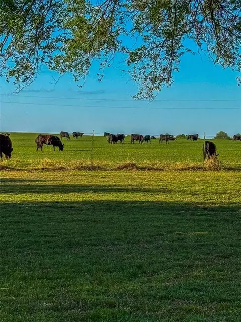 16491 Rockwood Ave, Wayne, OK 73095