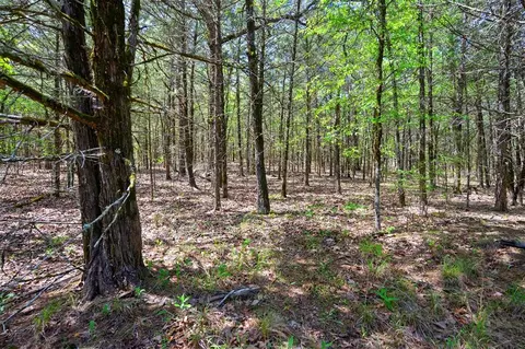 Other - 443175 E 1970 Rd, Ringold, OK 74754 photo 9 of 10