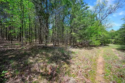 Other - 443175 E 1970 Rd, Ringold, OK 74754 photo 10 of 10