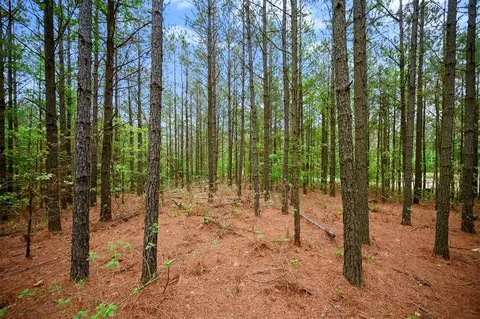 605 Track 2 Camp Ranch Rd, Broken Bow, OK 74728 photo 9