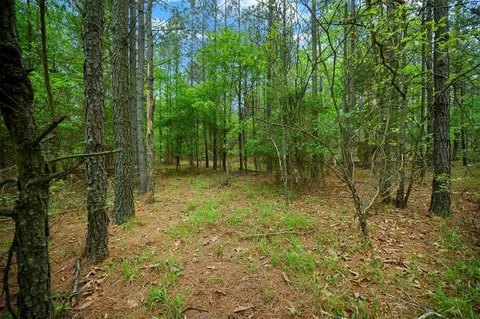 561 Track 1 Camp Ranch Rd, Broken Bow, OK 74728 photo 6