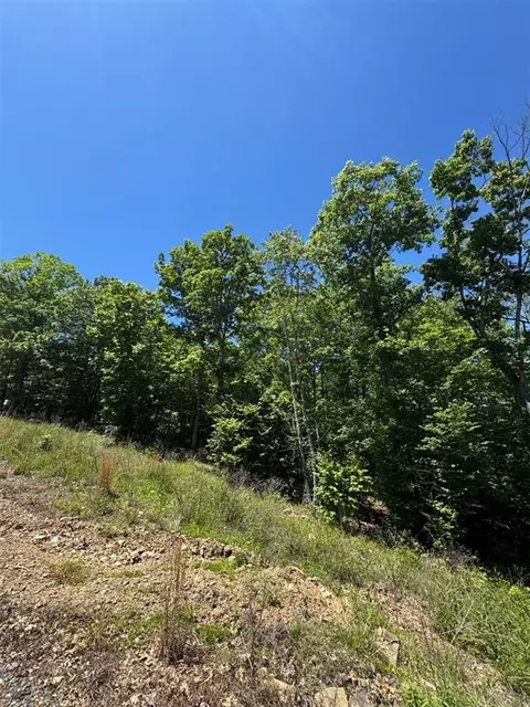 27 Mountain Bluff Trl, Watson, OK 74957
