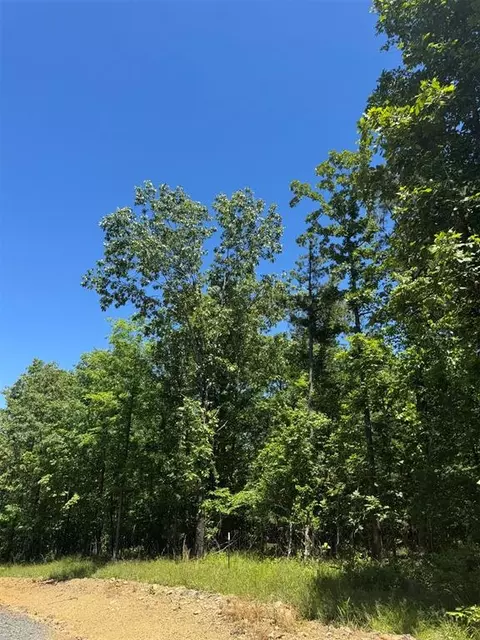 34 Starry Night Ct, Watson, OK 74957