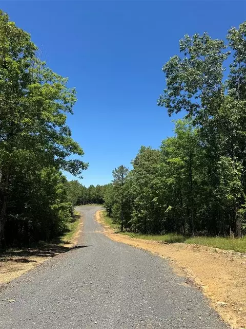 35 Starry Night Ct, Watson, OK 74957