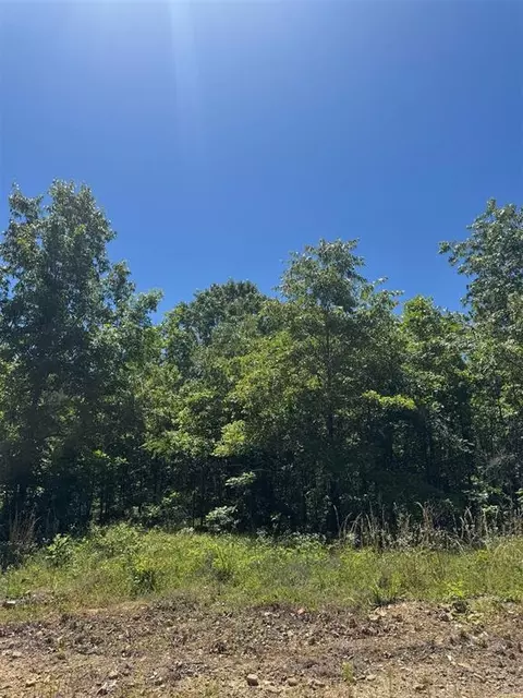 47 Hillside Way, Watson, OK 74957 photo 2
