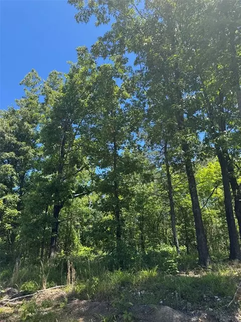 50 Vista Ridge Trl, Watson, OK 74957