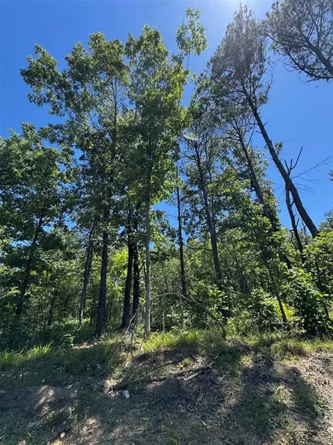 50 Vista Ridge Trl, Watson, OK 74957