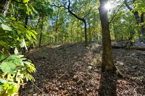 153 Conifer Crest Trl, Broken Bow, OK 74728 photo 10