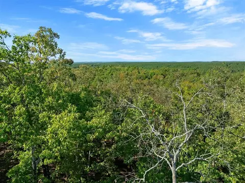 153 Conifer Crest Trl, Broken Bow, OK 74728 photo 5