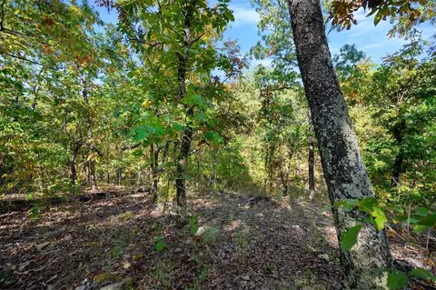 153 Conifer Crest Trl, Broken Bow, OK 74728 photo 8