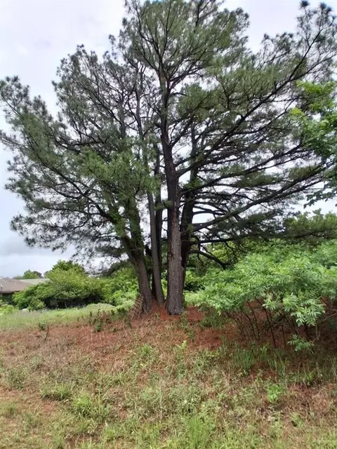 30 Limberlost, Mcloud, OK 74851 photo 11