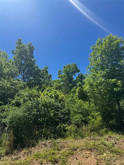 57 Vista Ridge Trl, Watson, OK 74957