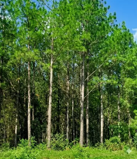 399 Camp Ranch Rd, Broken Bow, OK 74728 photo 3