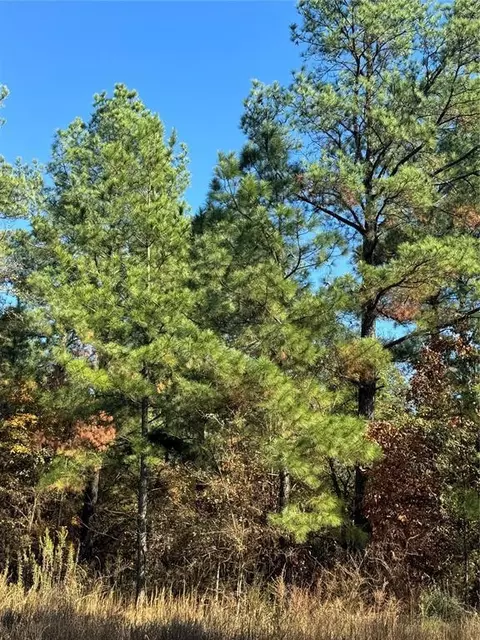 205 Bear Cedar Trl, Broken Bow, OK 74728 photo 2