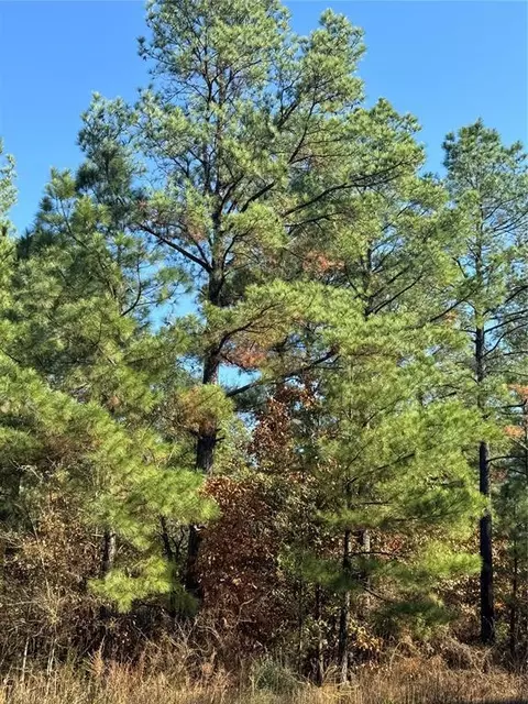 205 Bear Cedar Trl, Broken Bow, OK 74728 photo 3