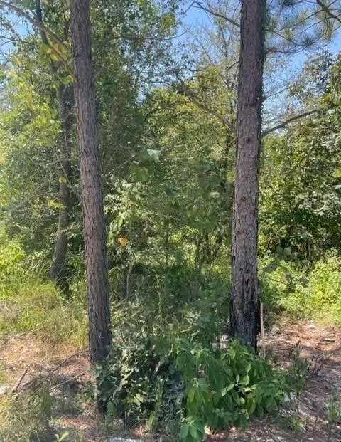 205 Bear Cedar Trl, Broken Bow, OK 74728 photo 4