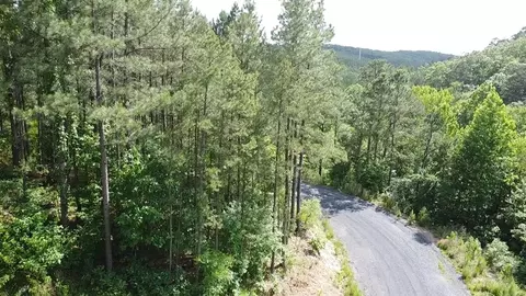 635 Virginia Pine Pl, Broken Bow, OK 74728