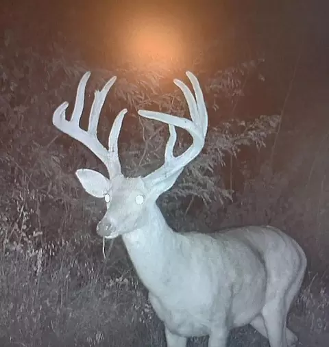 0002 County Road 3416, Byars, OK 74831 photo 3