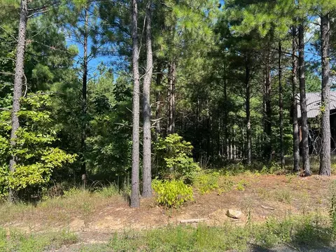 53 Weathered Timber Trl, Broken Bow, OK 74728 photo 4