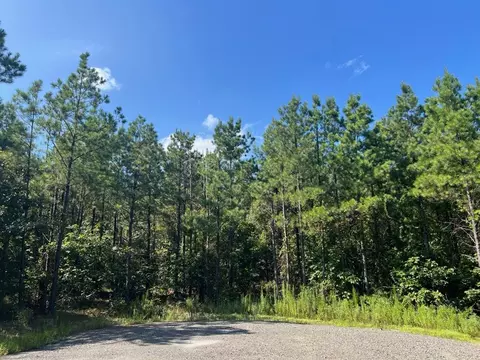 53 Weathered Timber Trl, Broken Bow, OK 74728 photo 5