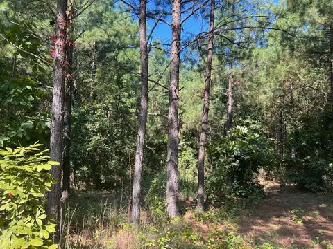 53 Weathered Timber Trl, Broken Bow, OK 74728 photo 2