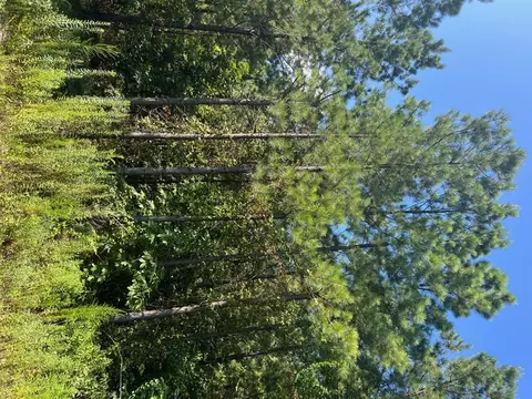 53 Weathered Timber Trl, Broken Bow, OK 74728 photo 7