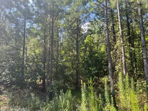 53 Weathered Timber Trl, Broken Bow, OK 74728 photo 6