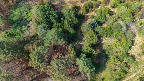 4 Acme Rd, Asher, OK 74826 photo 9
