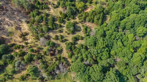 4 Acme Rd, Asher, OK 74826 photo 16