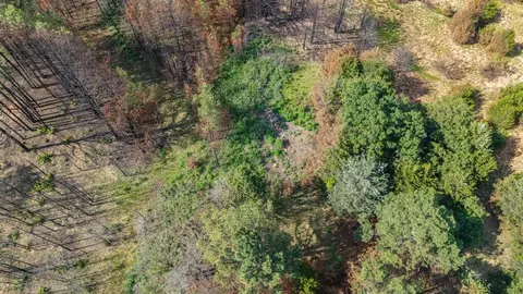 4 Acme Rd, Asher, OK 74826 photo 11