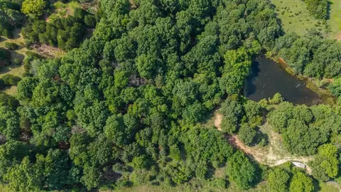 4 Acme Rd, Asher, OK 74826 photo 37