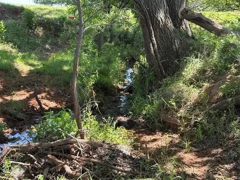 Cs 2630 & E 1480 Rd. Road, Apache, OK 73006 photo 6