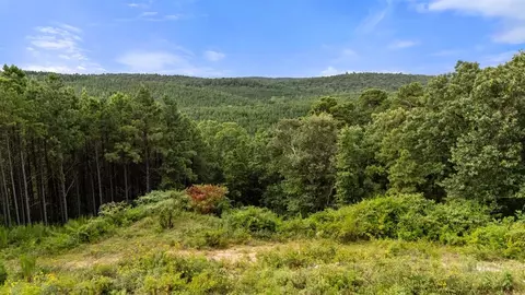 28 Alder Pl, Broken Bow, OK 74728